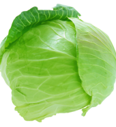 Cabbage (पत्ता गोभी)